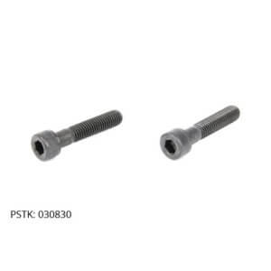 Screw (2 pack)