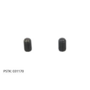 Screw (2 pack)