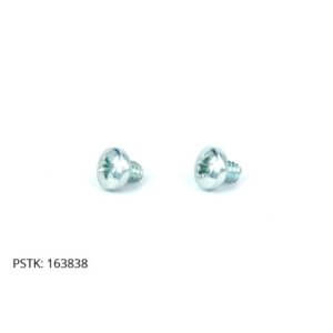 Screw (2 pack)