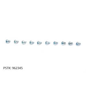 Screw (10 pack)