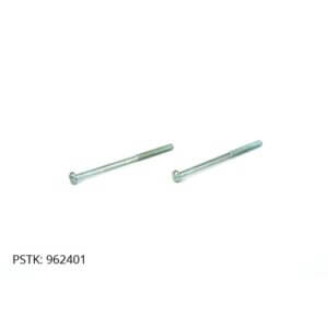 Screw (2 pack)