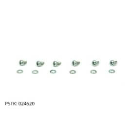 Screw and Washer Set