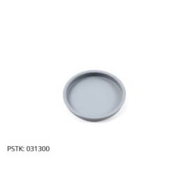 Plug Bearing